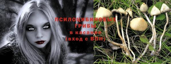 марихуана Новокубанск