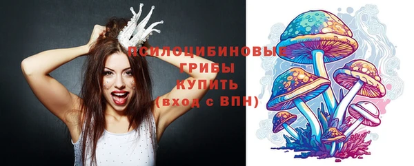 таблы Бикин