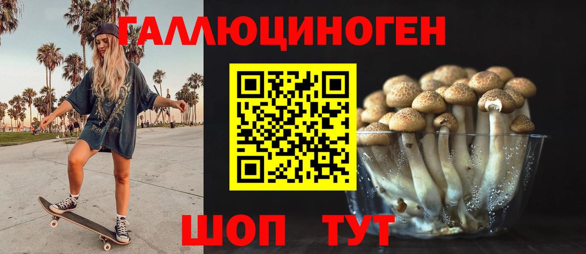 Псилоцибиновые грибы Psilocybe  Вход с VPN  Биробиджан 