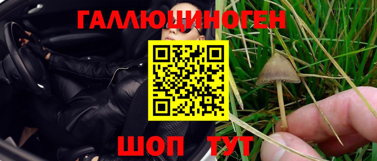 Галлюциногенные грибы ЛСД Биробиджан